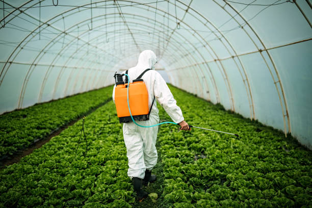 Best Local Pest Control Services  in Lake Mack Forest Hills, FL