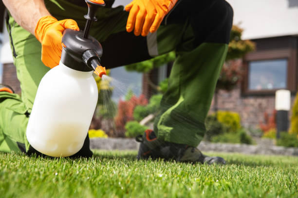 Best Bed Bug Extermination  in Lake Mack Forest Hills, FL