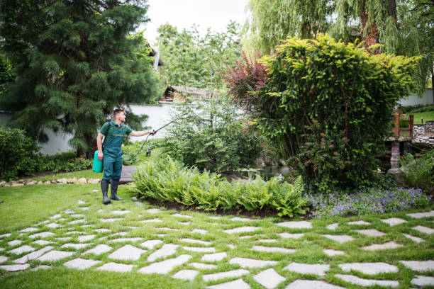 Best Bird Control  in Lake Mack Forest Hills, FL