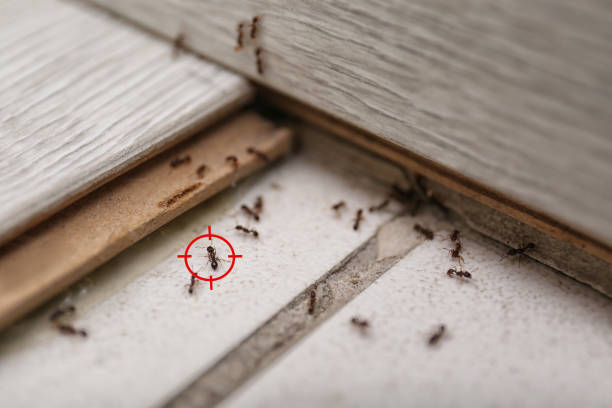Best Commercial Pest Control Services  in Lake Mack Forest Hills, FL