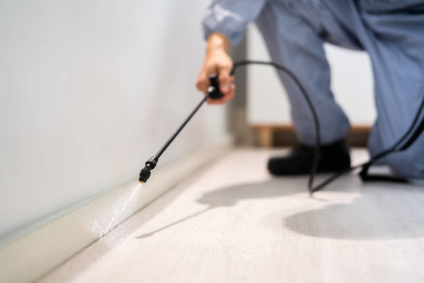 Pest Control Cost in Lake Mack Forest Hills, FL