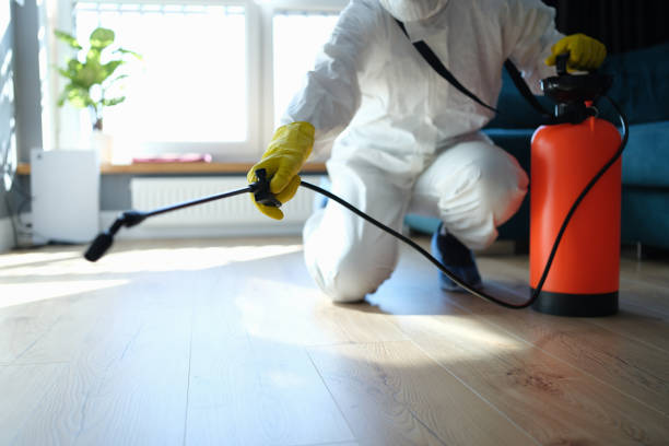 Best Local Pest Control Services  in Lake Mack Forest Hills, FL