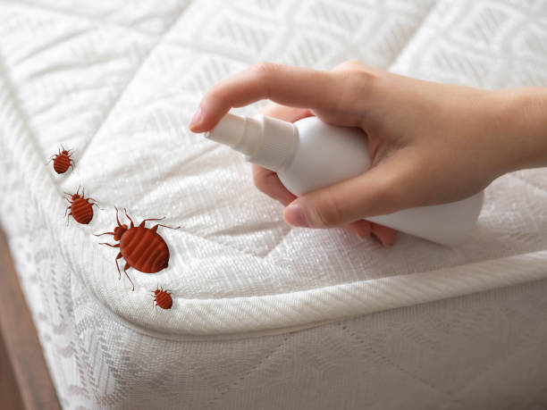 Best Emergency Pest Control  in Lake Mack Forest Hills, FL