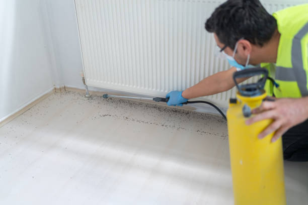Lake Mack Forest Hills, FL Pest Control Company